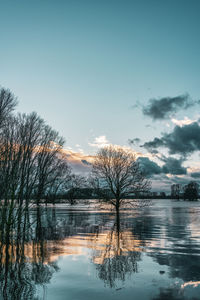 Flood on the rhine near cologne, germany.