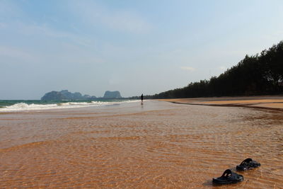 Scenic view of beach against sky