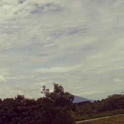 Scenic view of landscape against cloudy sky