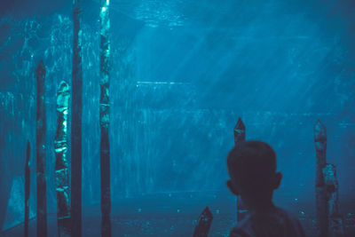 Rear view of woman swimming in aquarium