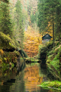 Scenic view of lake by trees and house in forest