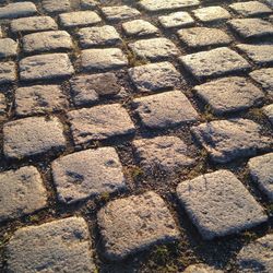 Full frame shot of tiled floor