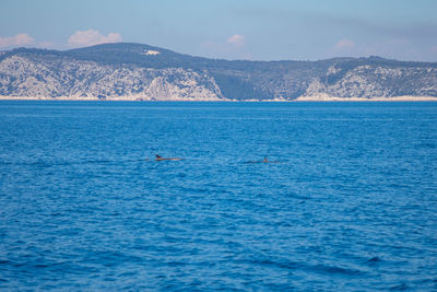 View of sea against sky