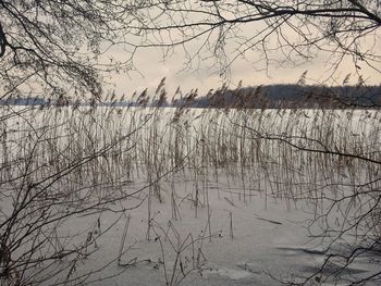 Close-up of spider web on window against sky