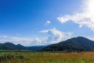 Scenic view of field against sky