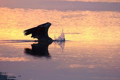 Scenic view of sea at sunset