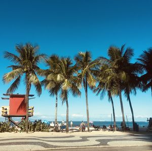 Palm trees on beach against clear blue sky
