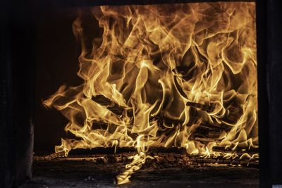 Close-up of fire on wood at night