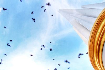 Low angle view of bird flying in sky