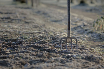 Close-up view of pitchfork