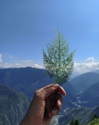 Close-up of hand holding plant against mountain