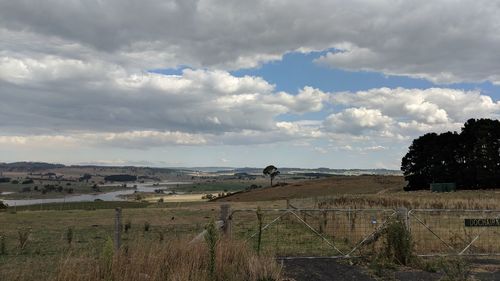 Scenic view of agricultural field against sky