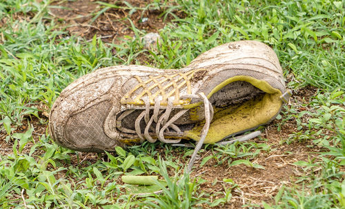 Close-up of shoes on field