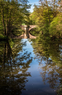 Arch bridge over lake in forest against sky