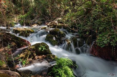 waterfall