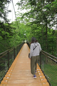 Rear view of woman standing on footbridge amidst trees in forest