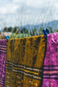 Close-up of clothes drying on wood
