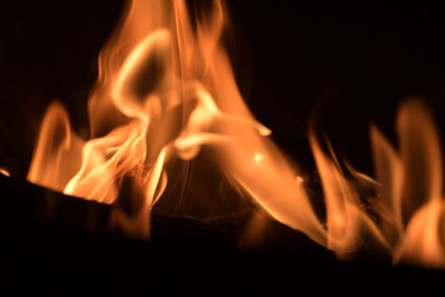 Close-up of bonfire at night