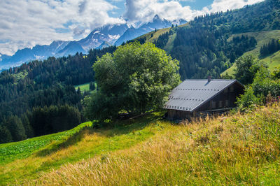 Scenic view of field against mountains