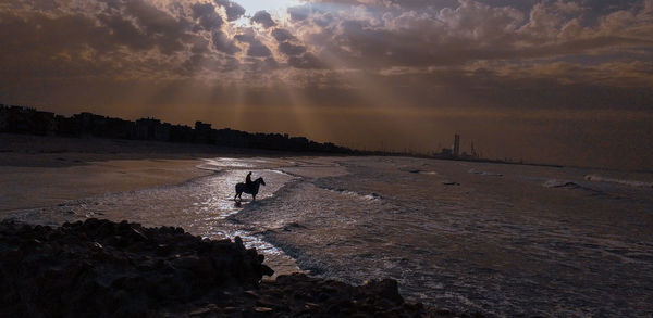 Scenic view of beach during sunset