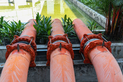 High angle view of pipe and plants against sky