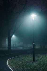 Illuminated street lights in park at night