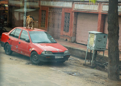 Rear view of car on street against building