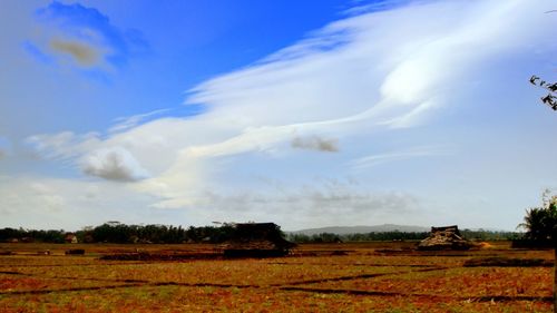 Scenic view of field against sky