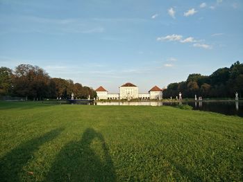 Trees on grassy field