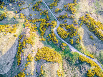 Full frame shot of water on landscape