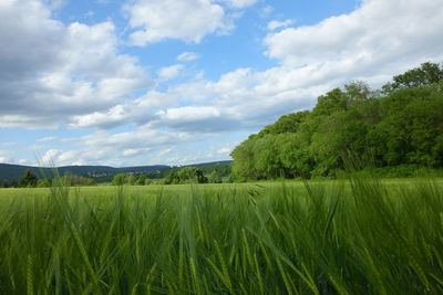 Scenic view of field against cloudy sky