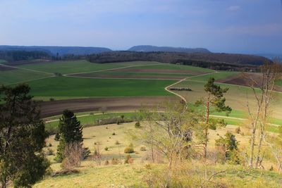 Scenic view of agricultural field against sky