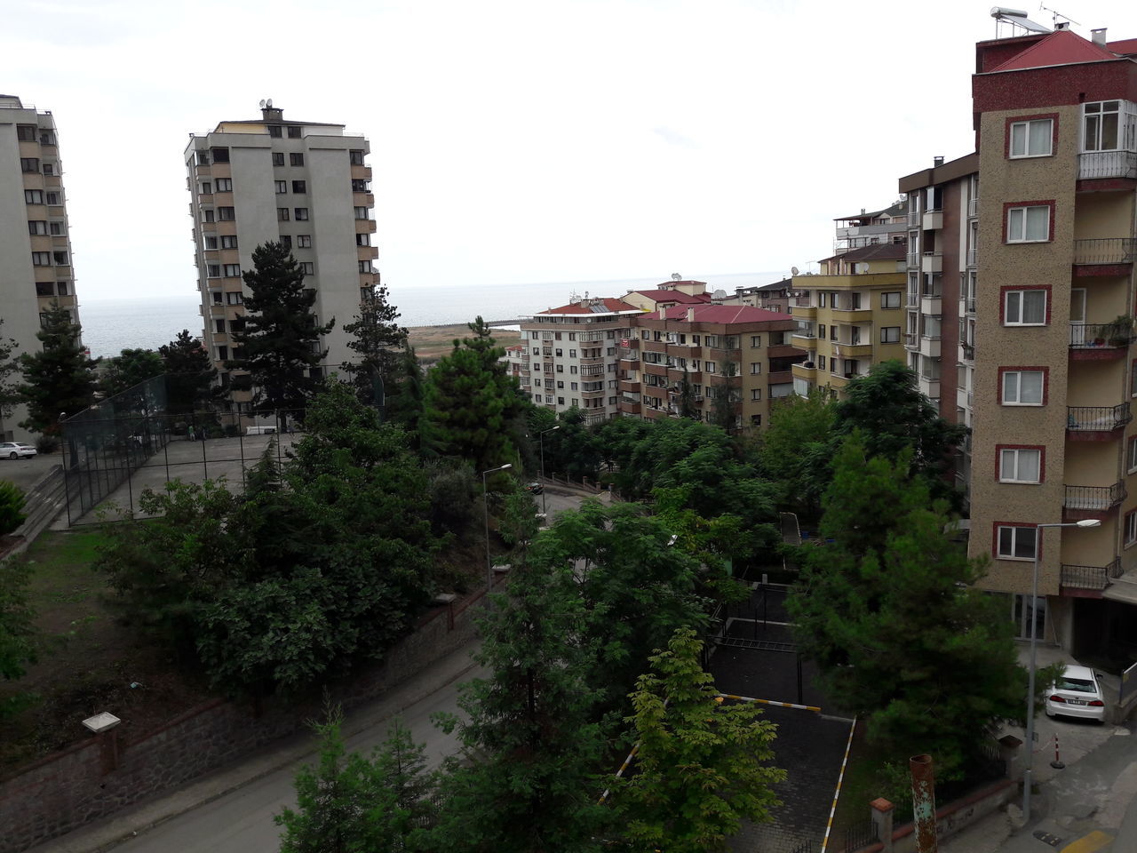 architecture, tree, building exterior, city, no people, built structure, growth, outdoors, sky, residential, cityscape, day