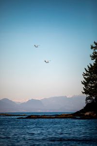 Seaplanes over rocky coastal beach