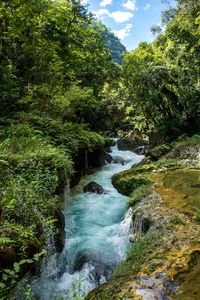 River flowing amidst rocks in forest