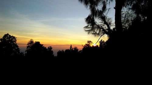 Silhouette trees against sky during sunset