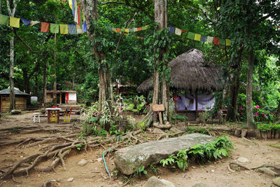 Hut and trees on field