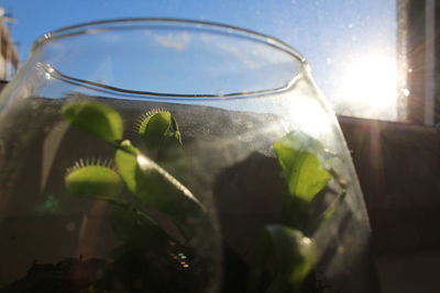 Close-up of drink on table