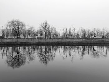 Reflection of bare trees on lake