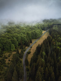 High angle view of road amidst trees against sky