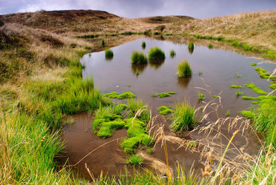 Scenic view of lake