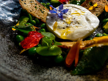 Close-up of fresh fruit salad in plate
