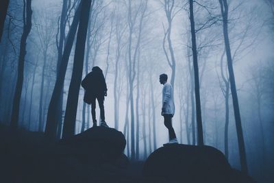 Silhouette of people standing in forest