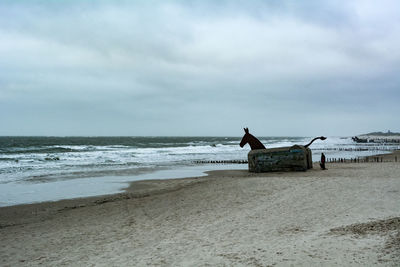 Man on beach by sea against sky