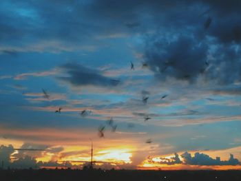 Silhouette birds flying against dramatic sky