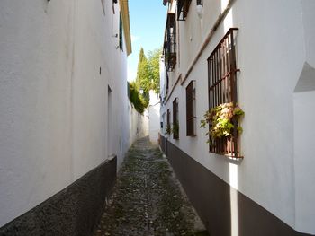 Narrow alley amidst buildings