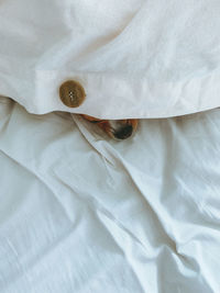 Full frame shot of dog lying down on bed