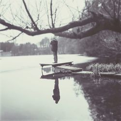 Reflection of trees in water