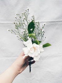 Close-up of cropped hand holding white flower