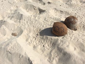 High angle view of coconut shells on sand at beach